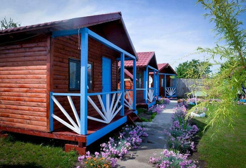 침실 1개 주택, Pensiunea Alessia Murighiol