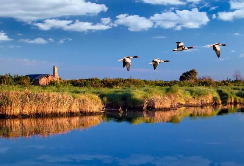 דירת חדר, Alba 4 Pers