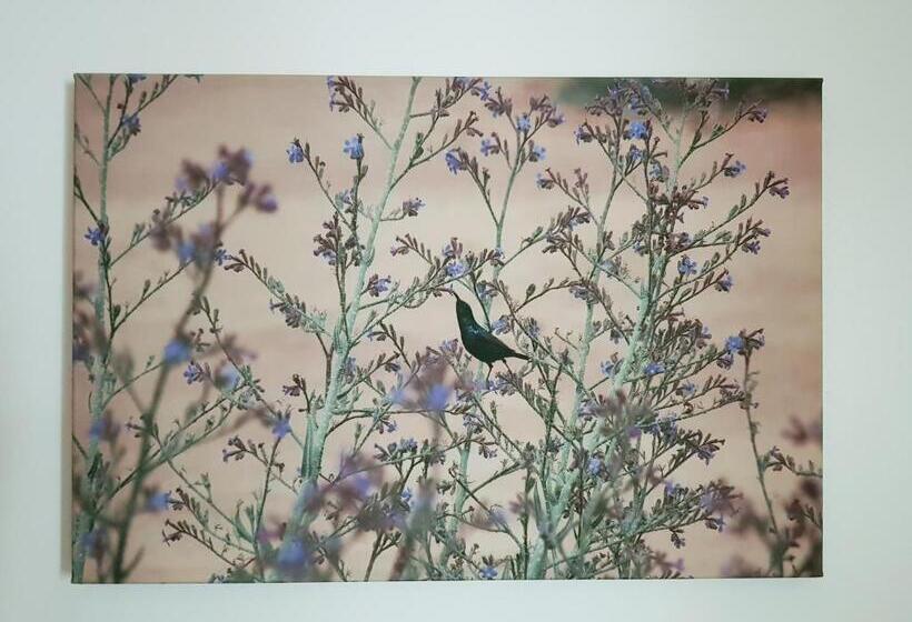 اتاق اکونومی, B&b Petra Fig Tree Villa