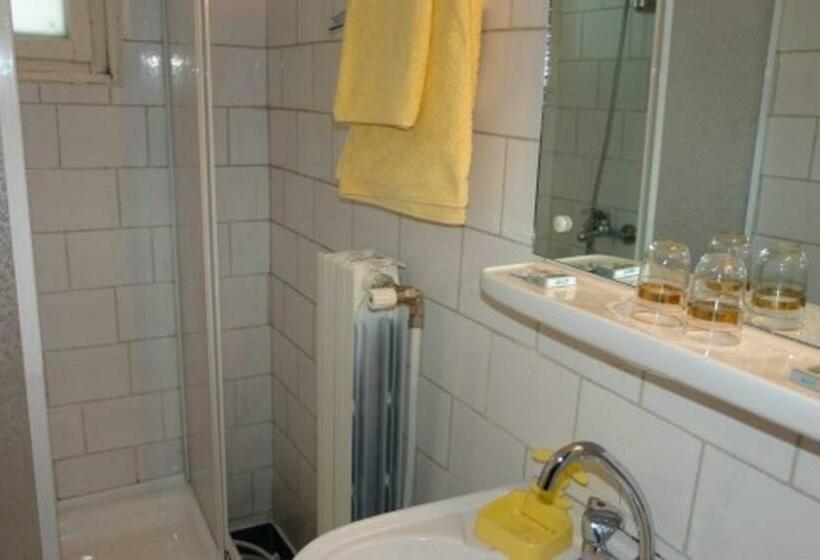 带大床的标准间, Casa Valea Iancului Sinaia