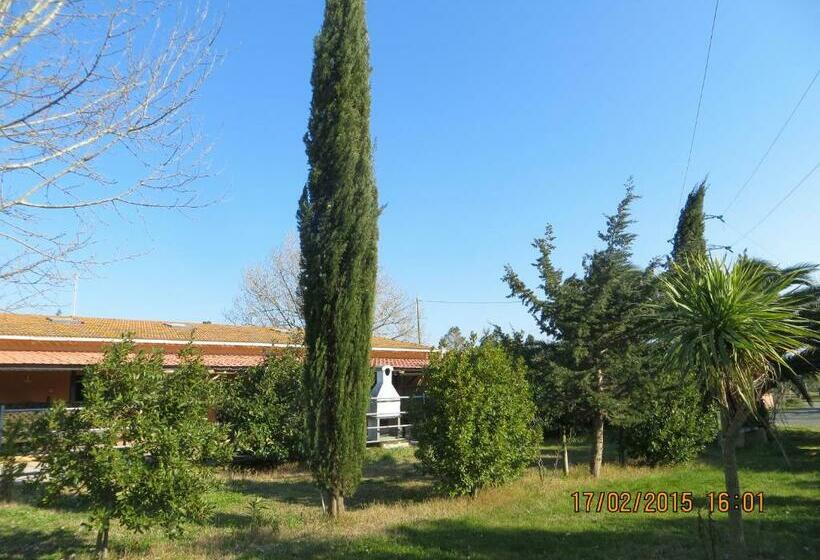 Апартаменты 1 Спальня, Agriturismo Il Cipresso