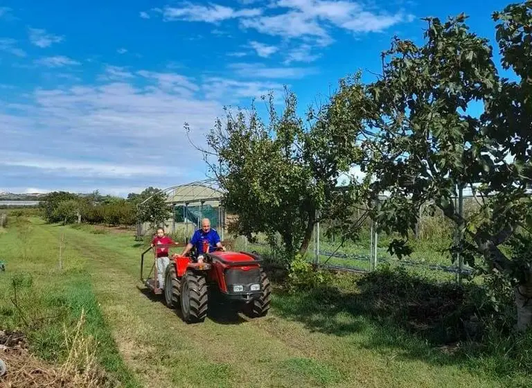 1ベッドルームアパートメント, Agriturismo Il Cipresso