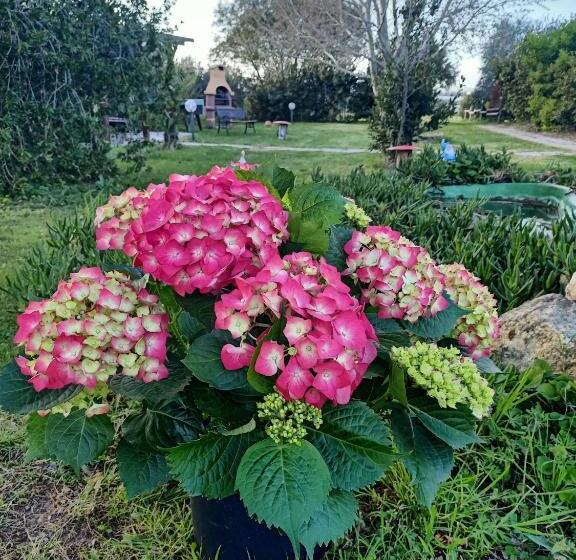 Апартаменты 1 Спальня, Agriturismo Il Cipresso