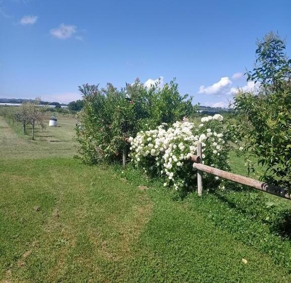 Студия Стандарт, Agriturismo Il Cipresso