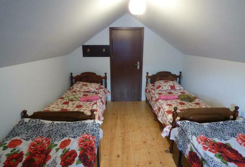 اتاق چهار تخته با دستشویی مشترک, Anano Guest House