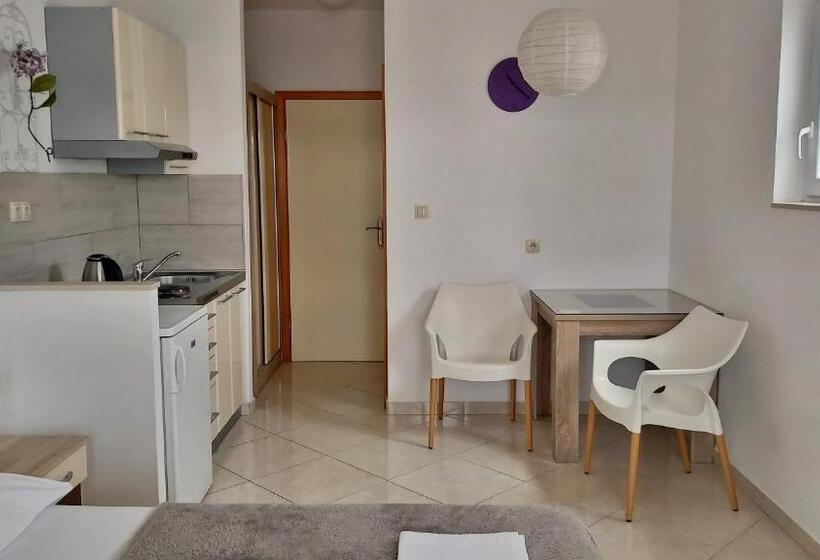 חדר סטודיו סטנדרד, Apartments Nemira