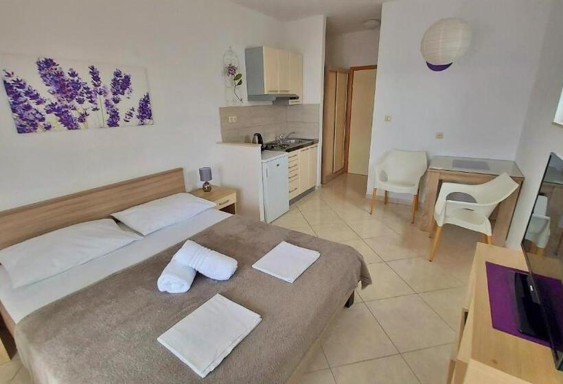 חדר סטודיו סטנדרד, Apartments Nemira