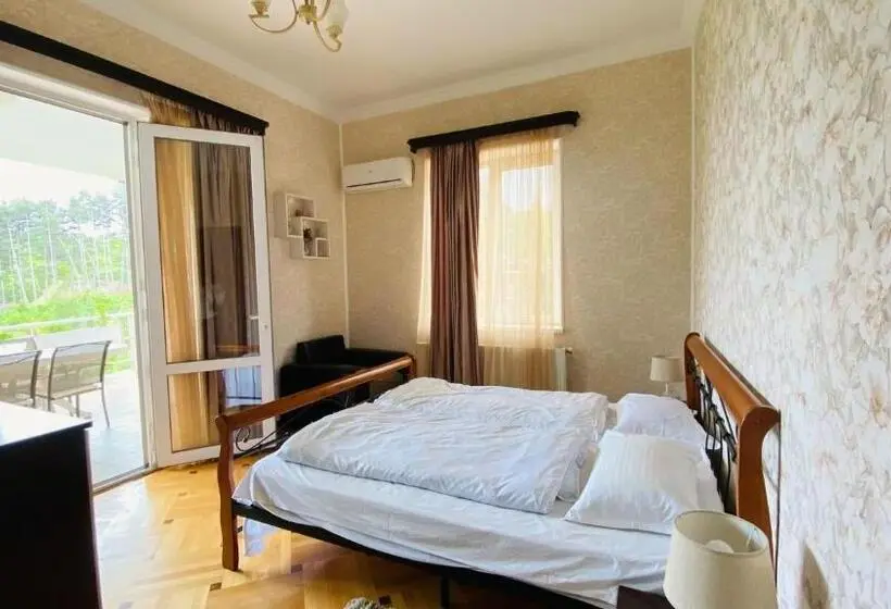 آپارتمان 1 خوابه با بالکن, Neli & Zaal Guest House