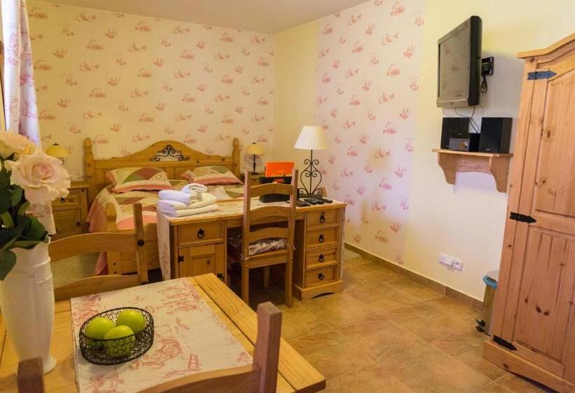 适合残疾人士使用的带超级大床的标准间, Penzion Sonáta