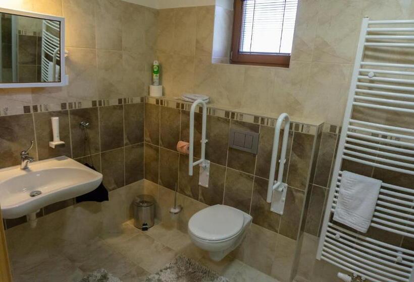 适合残疾人士使用的带超级大床的标准间, Penzion Sonáta