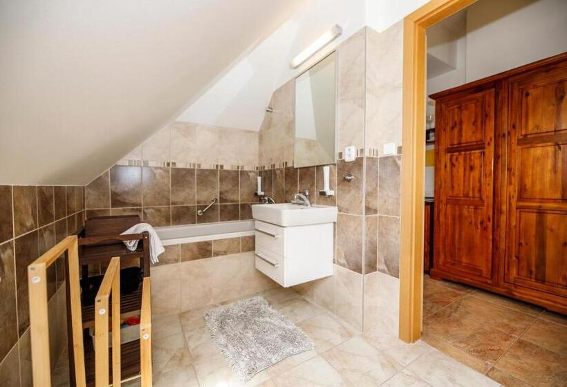 带1个卧室的公寓, Penzion Sonáta