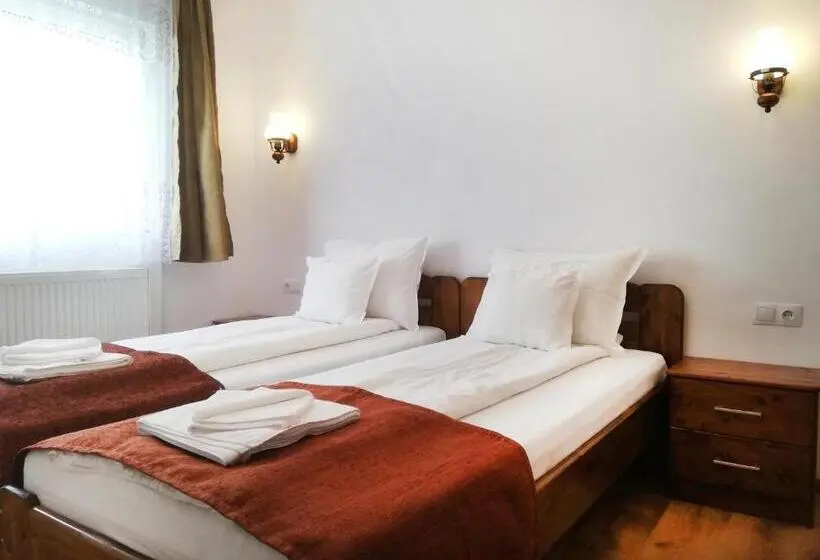 Sviitti 2 Makuuhuonetta, Pensiunea Casa Sighisoreana