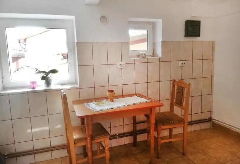 Sviitti 2 Makuuhuonetta, Pensiunea Casa Sighisoreana