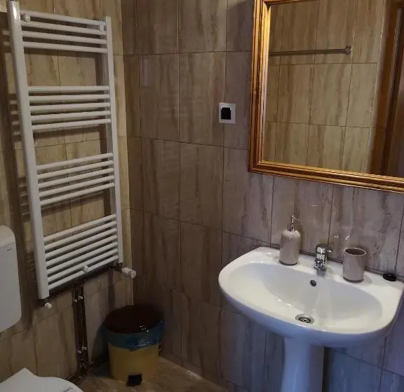 Standard-huone, Pensiunea Casa Sighisoreana