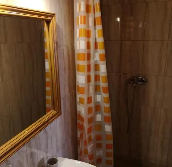 Standard-huone, Pensiunea Casa Sighisoreana