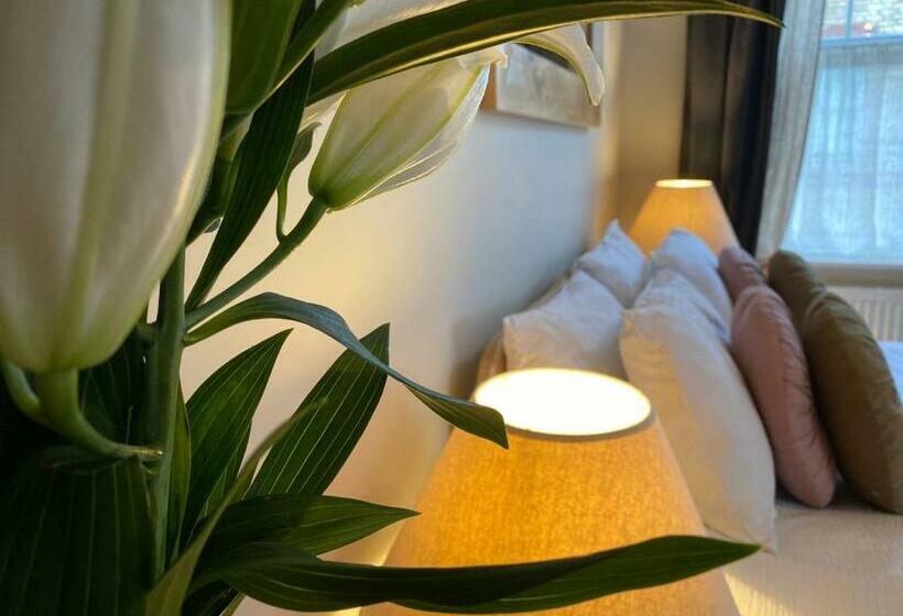 Номер Deluxe, No 22