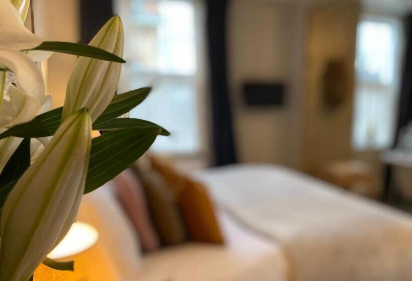 Номер Deluxe, No 22