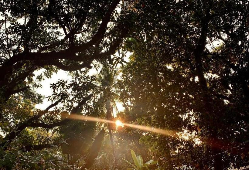 اتاق خانوادگی, Stan Inn, North Goa, Vagator, With Strong Wifi,free Private Parking & Kitchen, Can Cook Where You St