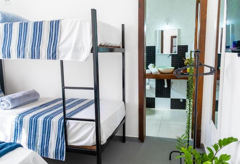 سوییت, Tucanos Búzios