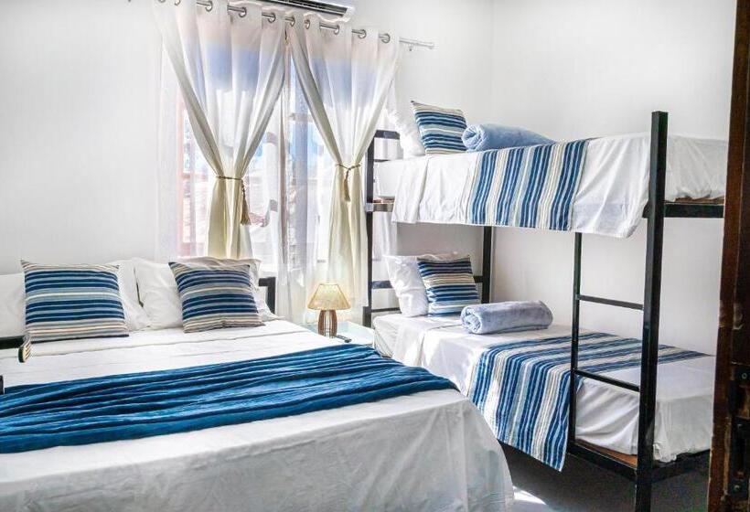 سوییت, Tucanos Búzios