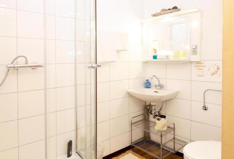 标准单人间, Goldener Löwe