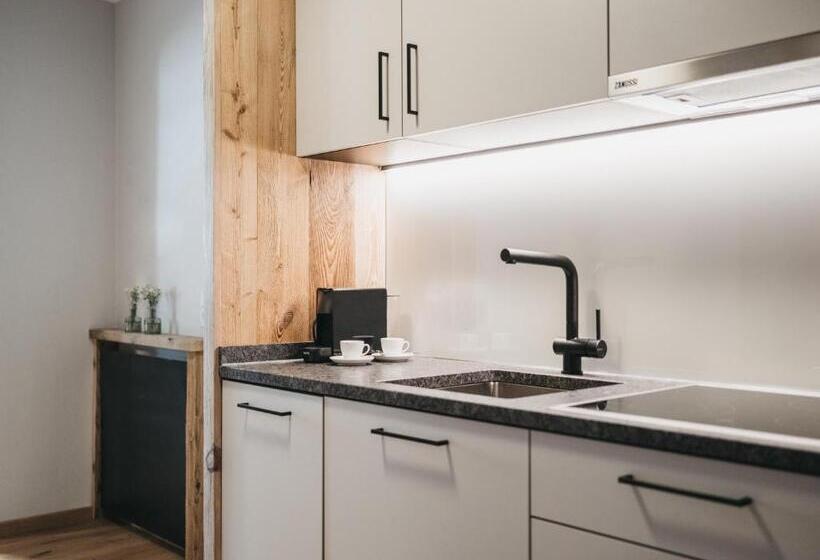 침실 2개 수피리어 아파트, Vaya Gerlos