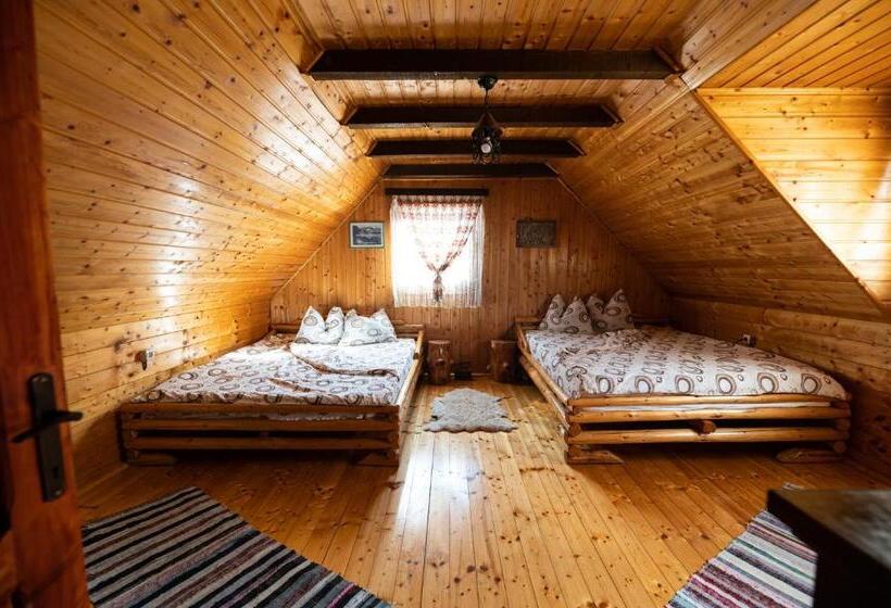 חדר סטנדרט לארבעה, Casa De Vacanta Vidrighin