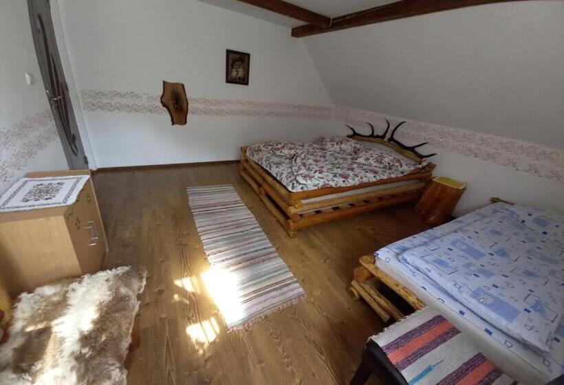 חדר סטנדרט לשלושה, Casa De Vacanta Vidrighin