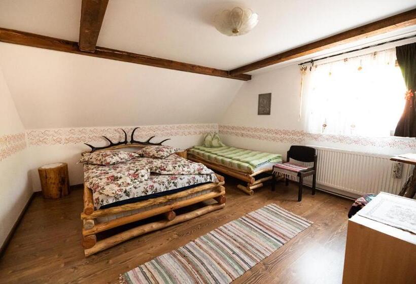 Номер Стандарт Трехместный, Casa De Vacanta Vidrighin