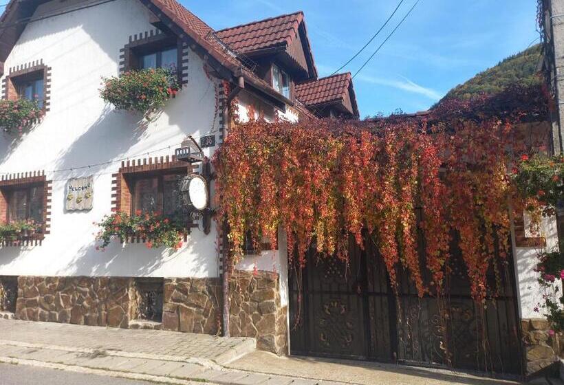 Дом 1 Спальня, Casa De Vacanta Vidrighin
