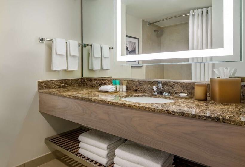 스탠다드 룸 더블 침대 2개, Hyatt Regency Jacksonville Riverfront