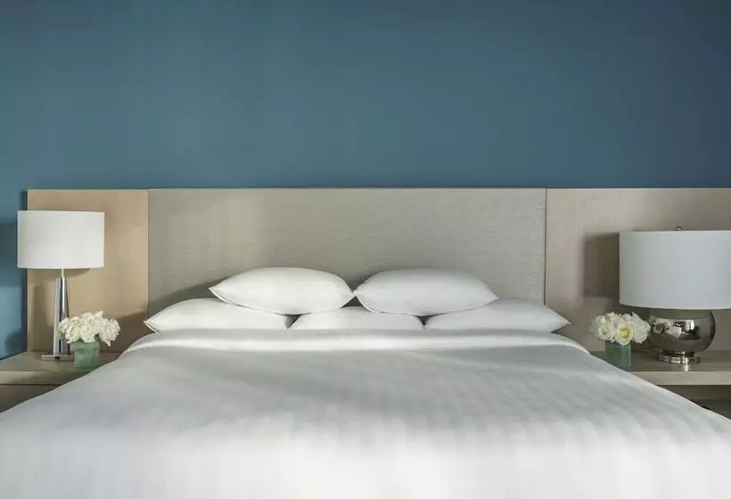 クラブルーム, Hyatt Regency Jacksonville Riverfront