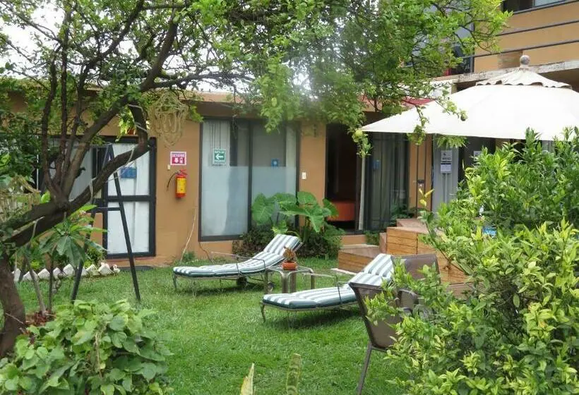 اتاق استاندارد با تخت بزرگ, Posada Casa Topiltzin