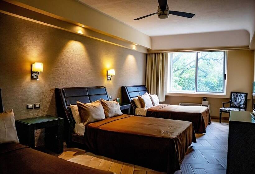 エクゼクティブルーム, Diana Del Bosque By Dot Urban