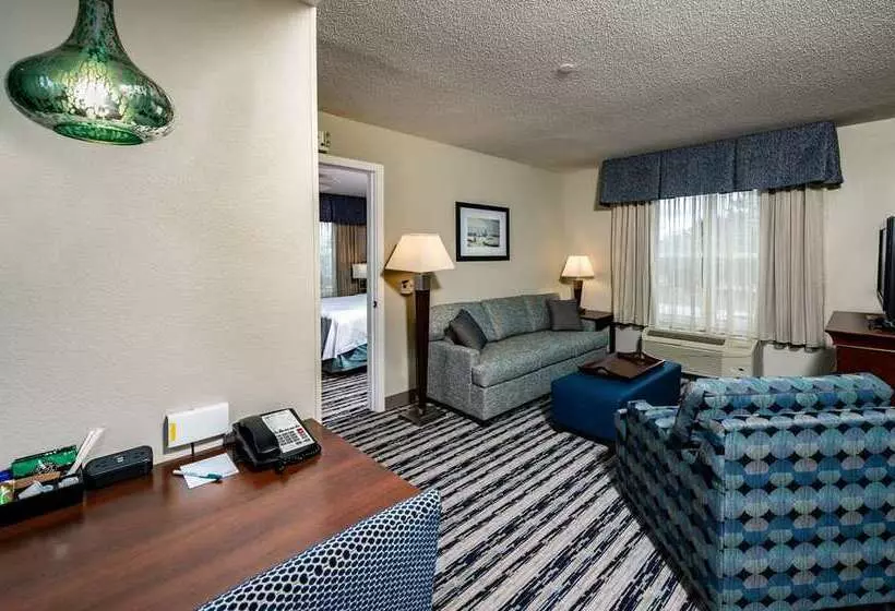 سوئیت با تخت بزرگ, Embassy Suites By Hilton Austin Arboretum