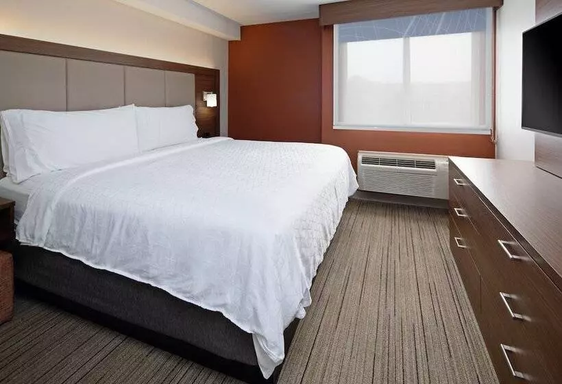 Standard-huone, Holiday Inn Express Seattle Sea Tac Airport, An Ihg
