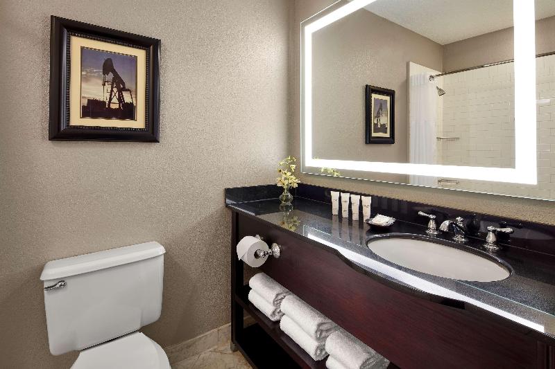 غرفة قياسية سرير كينج, Hyatt Regency Tulsa Downtown