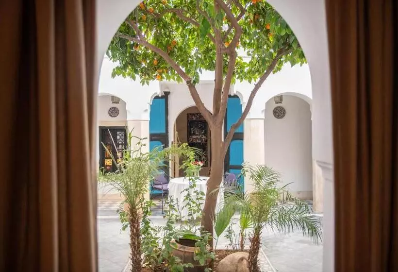 سوییت خانوادگی, Riyad El Cadi
