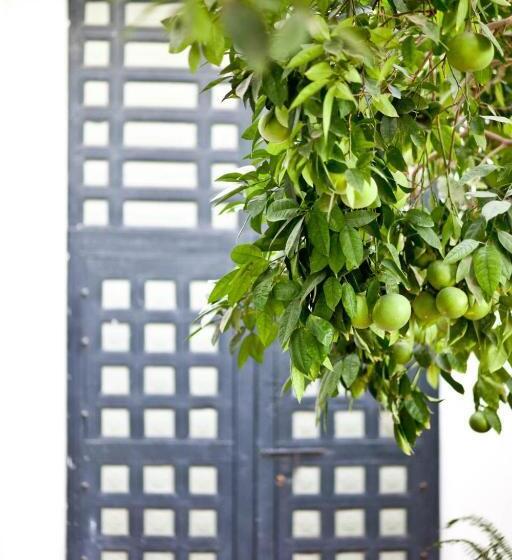 اتاق استاندارد یک نفره, Riyad El Cadi