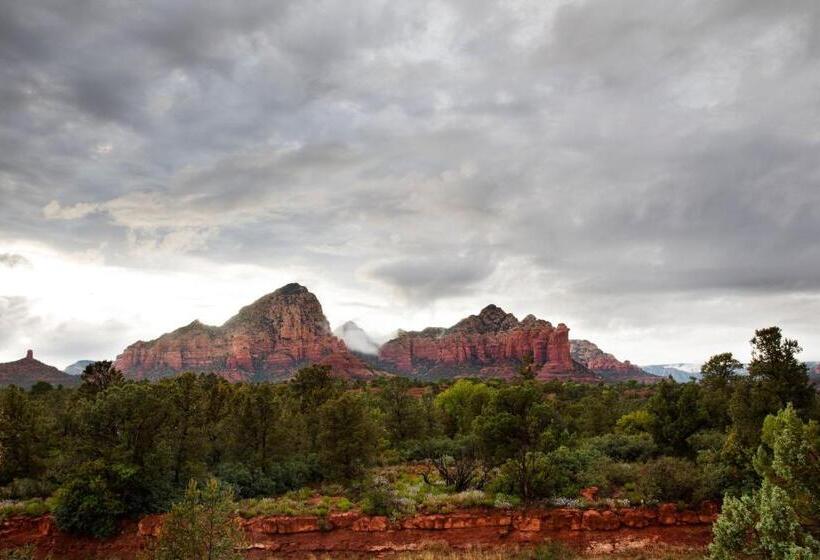 اتاق استاندارد با تخت بزرگ, Sky Rock Sedona, A Tribute Portfolio