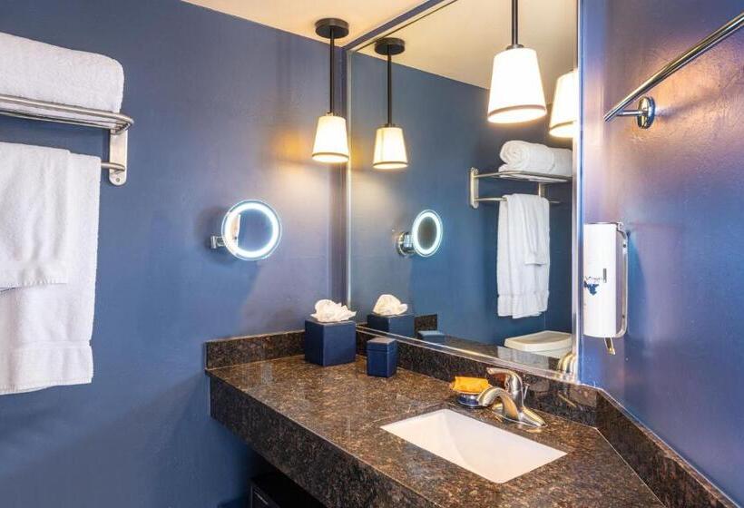 اتاق استاندارد با تخت بزرگ, Sky Rock Sedona, A Tribute Portfolio