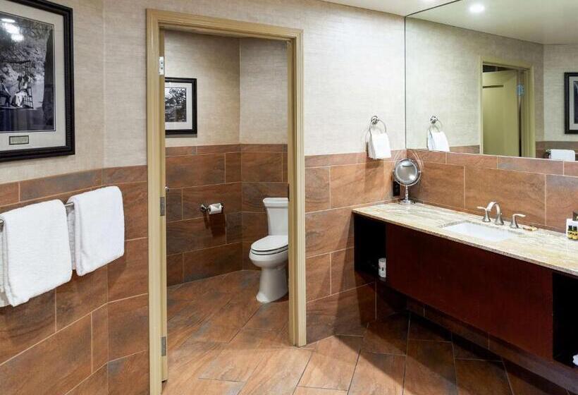 جناح ديلوكس سرير كينج, Squire Resort At The Grand Canyon, Bw Signature Collection