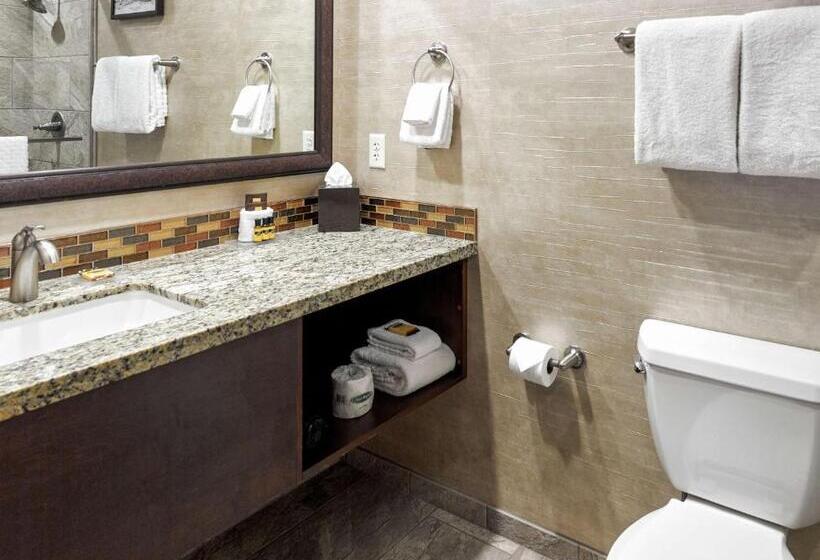 غرفة أساسية, Squire Resort At The Grand Canyon, Bw Signature Collection