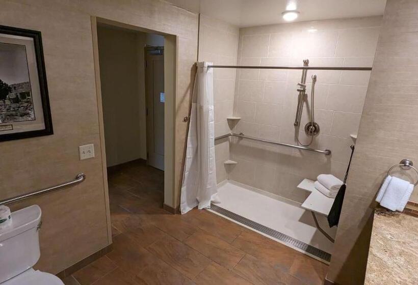 غرفة ديلوكس لذوى الاحتياجات الخاصة, Squire Resort At The Grand Canyon, Bw Signature Collection