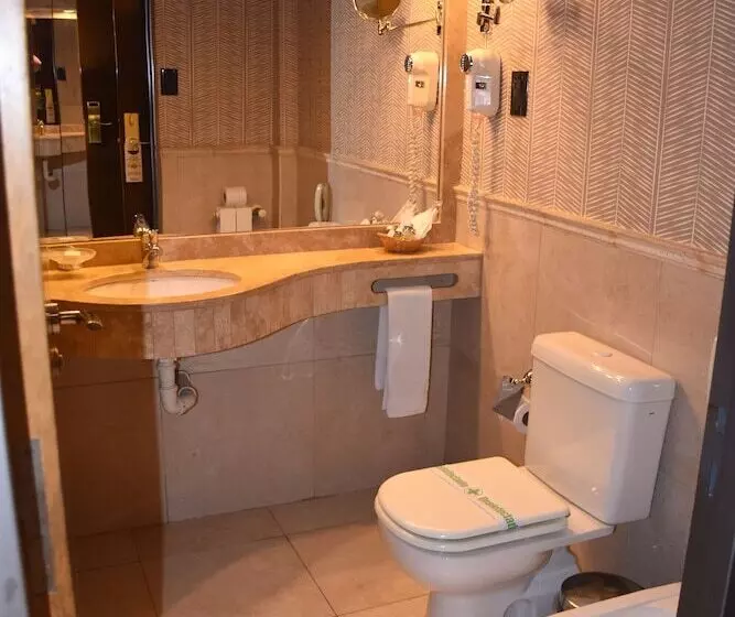 Executive-huone, Viñas Del Sol