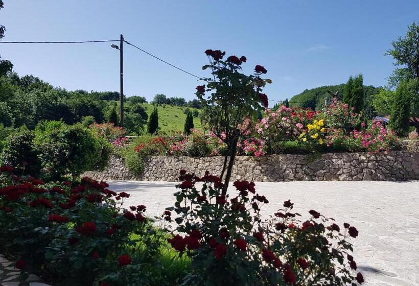 豪华三人间, Pansion Breza