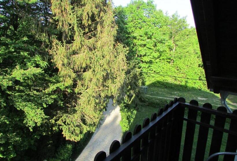 家庭间, Pansion Breza