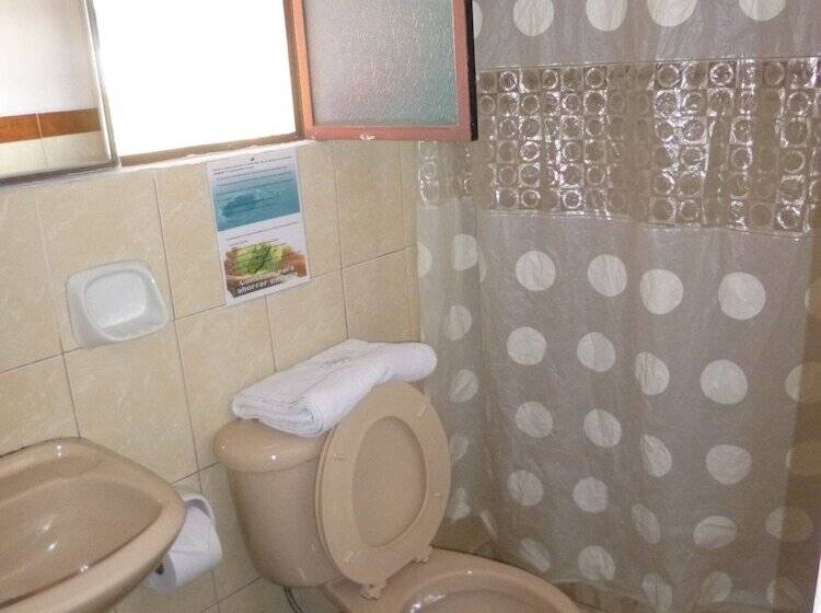 패밀리 룸, Andino