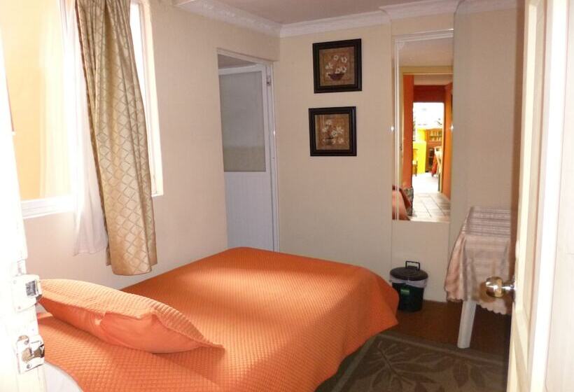 스탠다드 룸, Andino