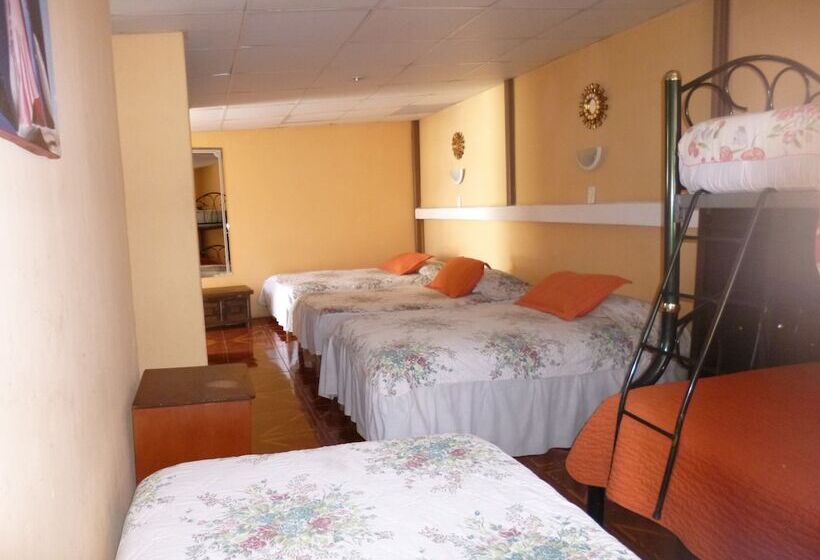 공동 객실, Andino